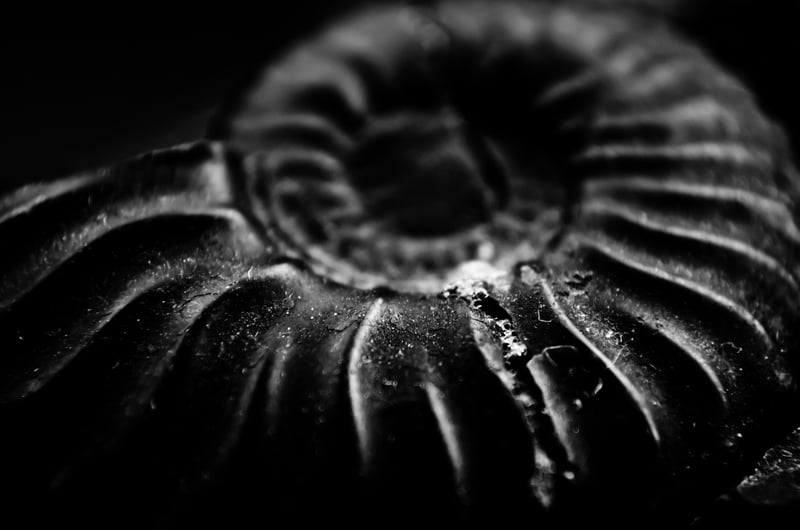 Ancestral Mixes